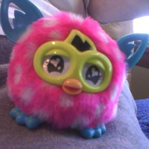 Meet your Posher, Kym